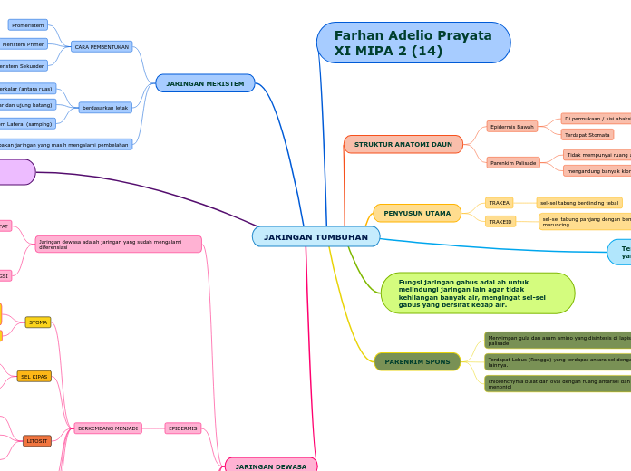 Mind Map Jaringan Tumbuhan Kelas 11 - Homecare24